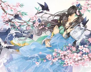 看片网站